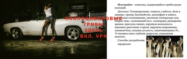 ПСИЛОЦИБИНОВЫЕ ГРИБЫ Армянск