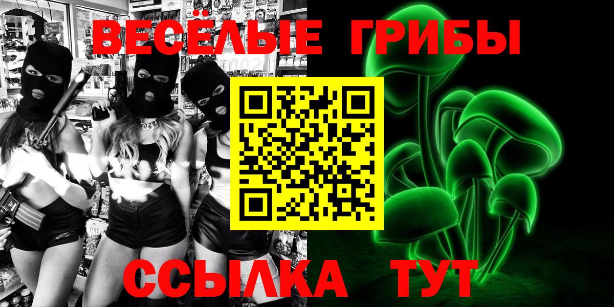 Кировск  Псилоцибиновые грибы GOLDEN TEACHER  Псилоцибиновые грибы ЛСД  Вход с VPN 